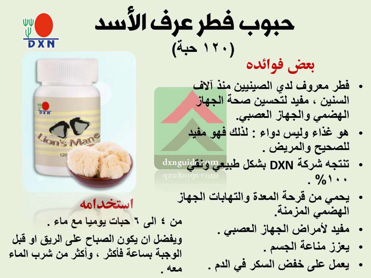 فطر عرف الاسد