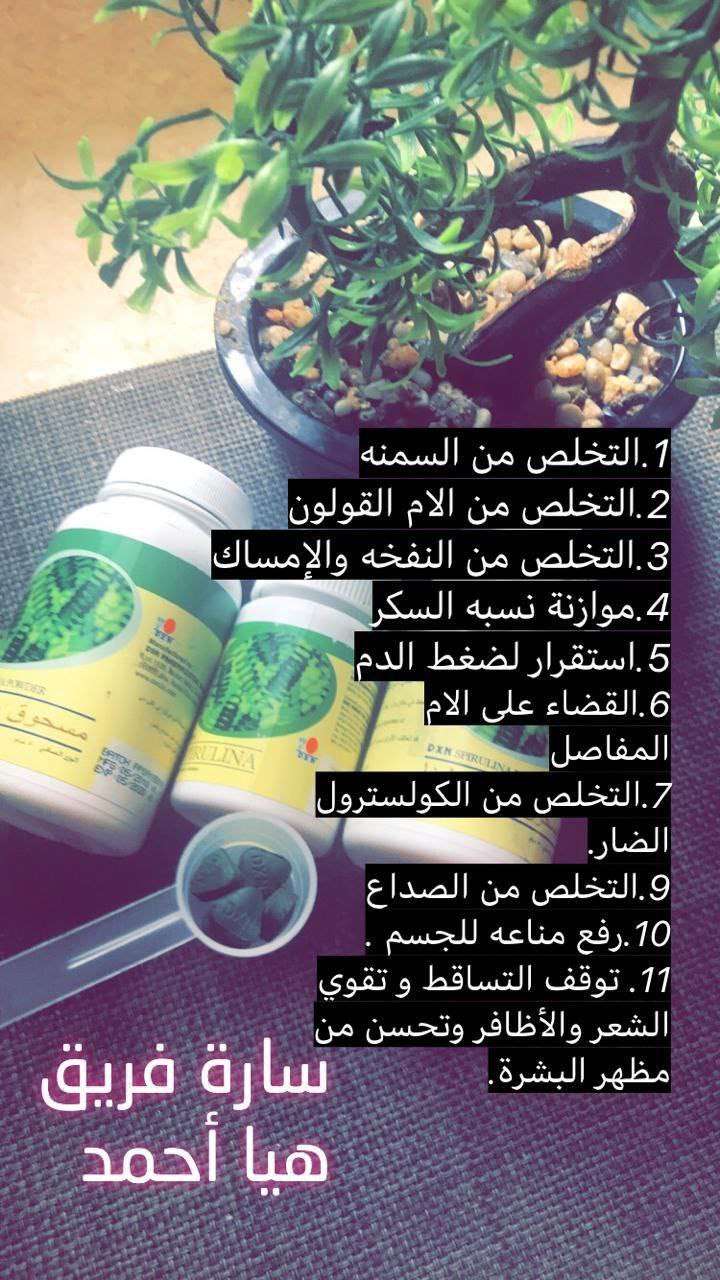 سيبرولينا