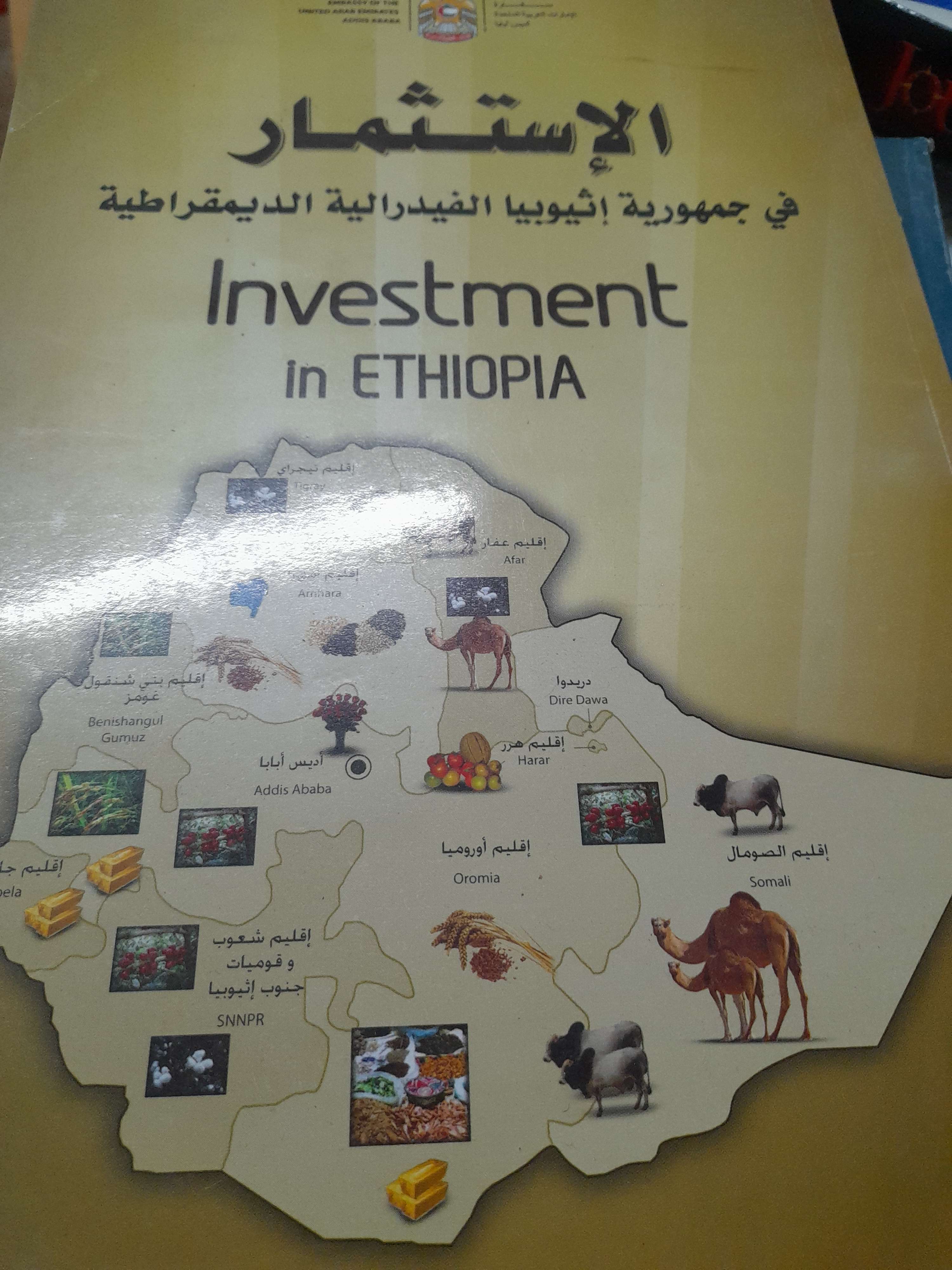 كتاب الاستثمار في افريقيا