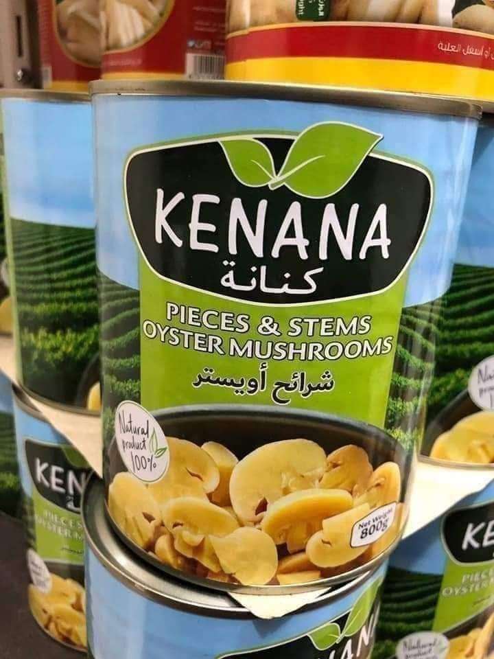 مشروم كنانة