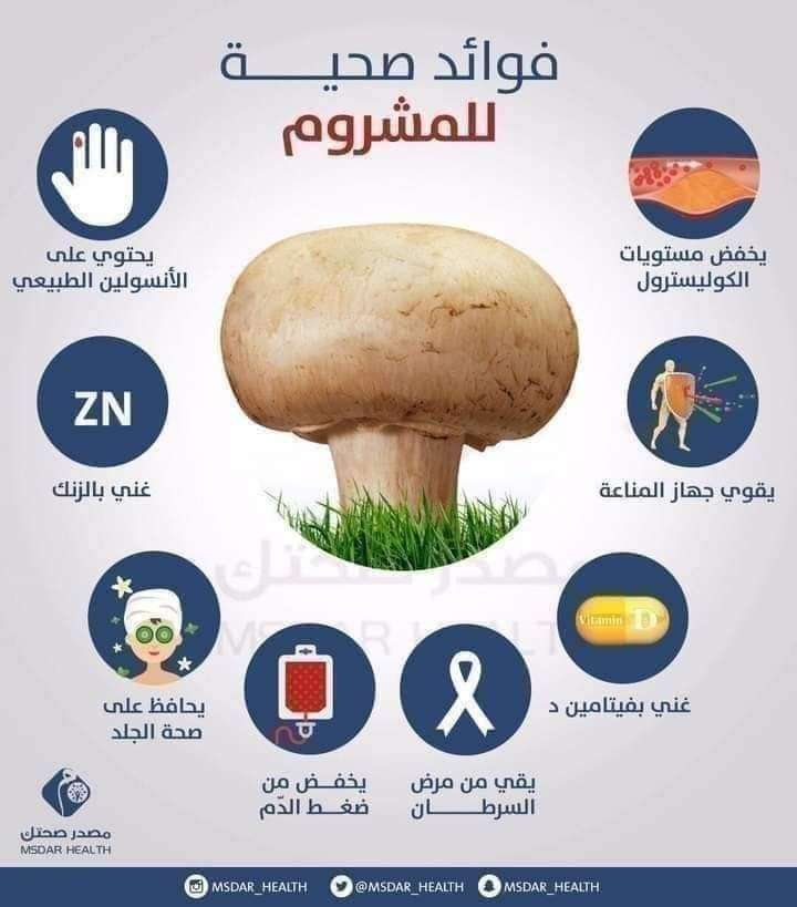 مشروم كنانة