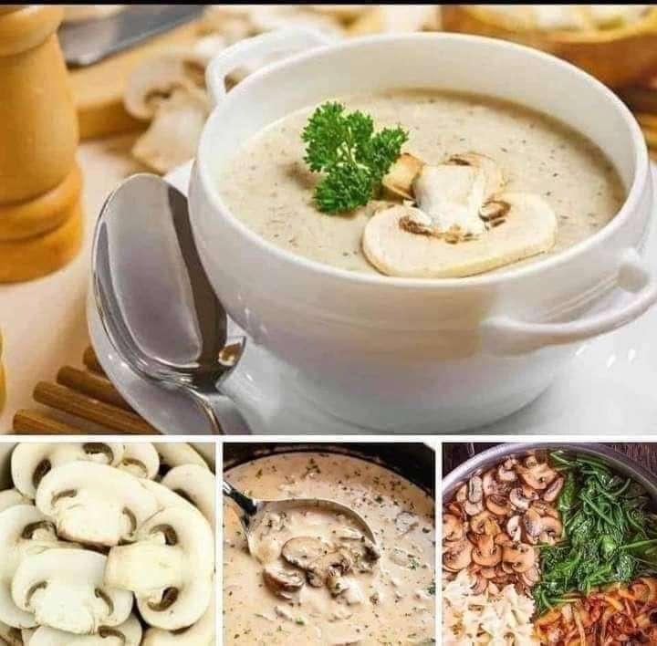 مشروم كنانة