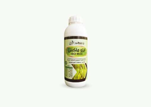 ايزوماكس ( طحالب بحرية )
