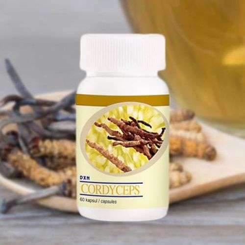 Dxn فطر الكورديسبس 120 قرص