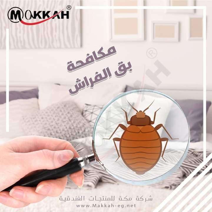 مبيد البق