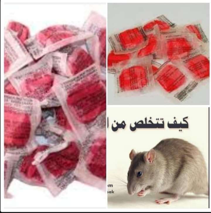 عجينة الفئران من مكة