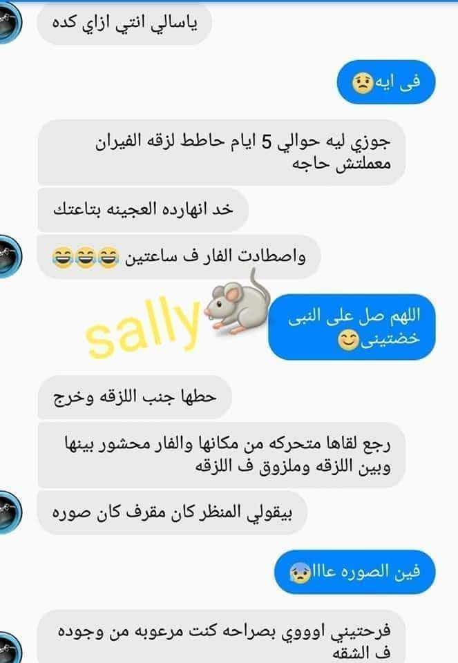 عجينة الفئران من مكة