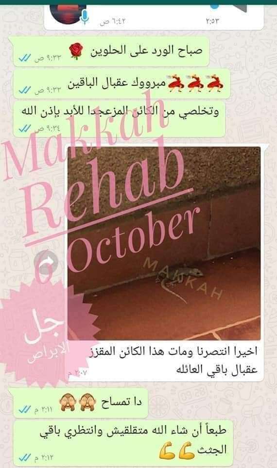 عجينة الفئران من مكة