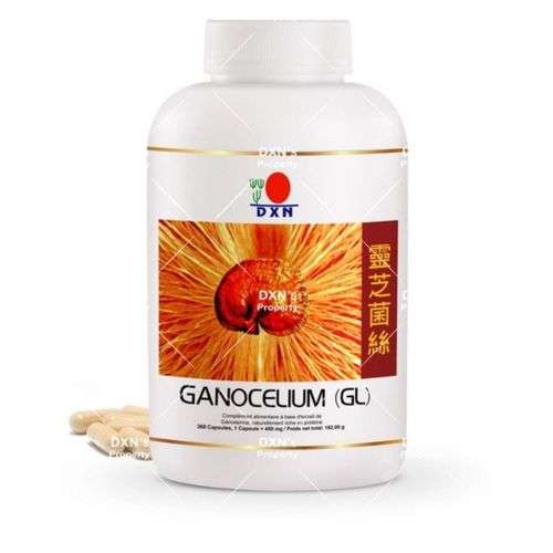 Dxn الفطر الريشي GL DXN 90