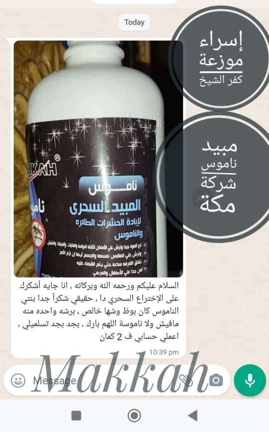 مبيد الناموس