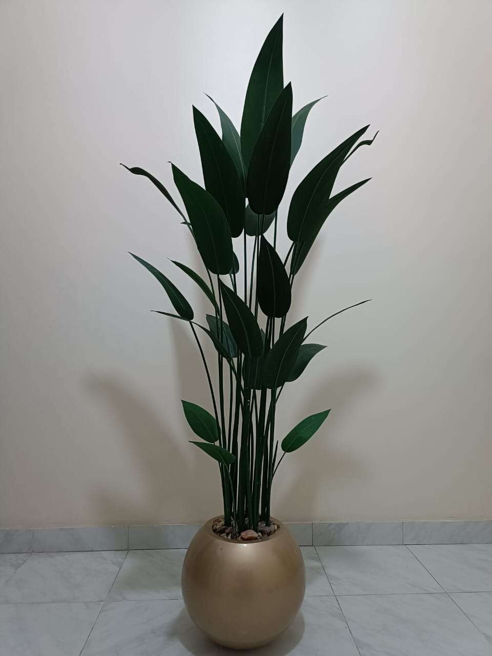 شجره موزه