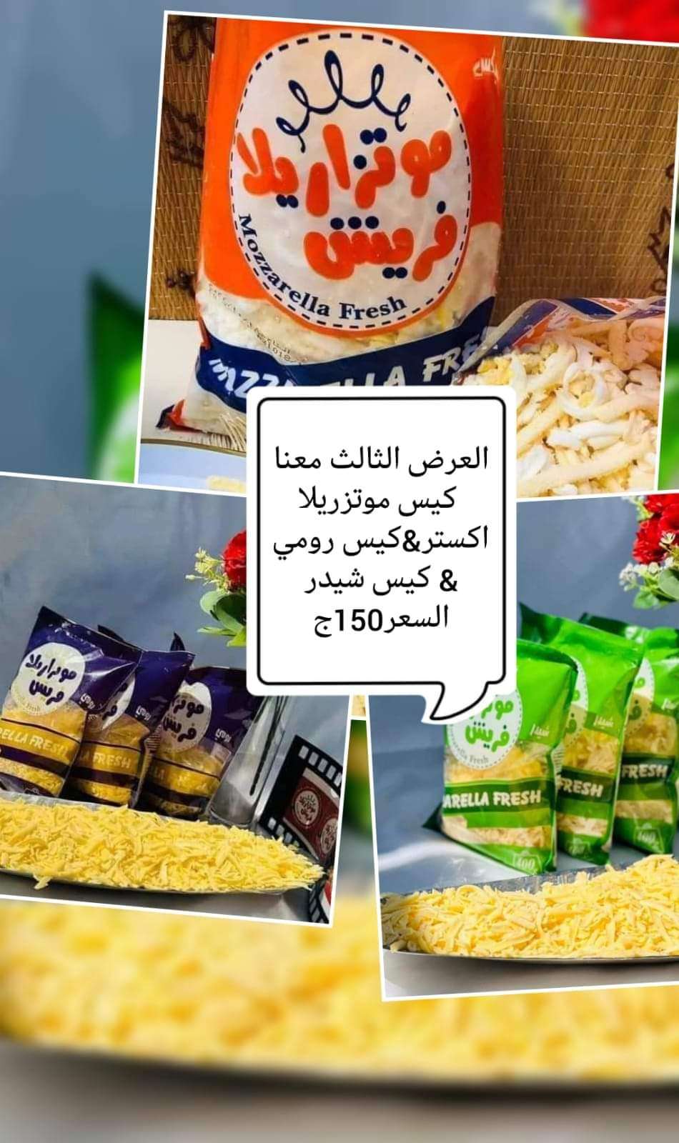 عرض الثلاثه رومي شيدر موتزاريلا