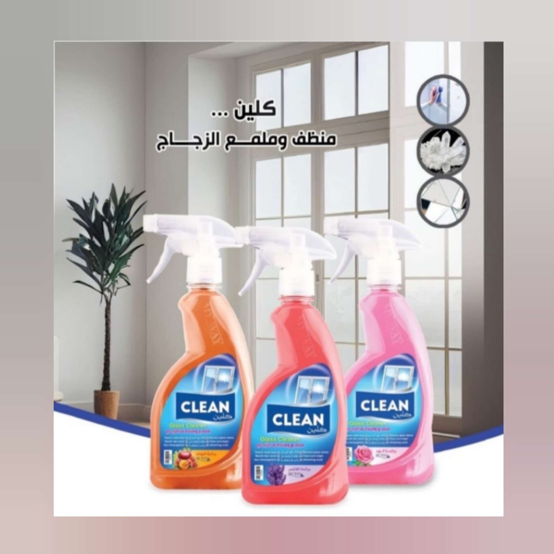 كلين منظف وملمع الزجاج