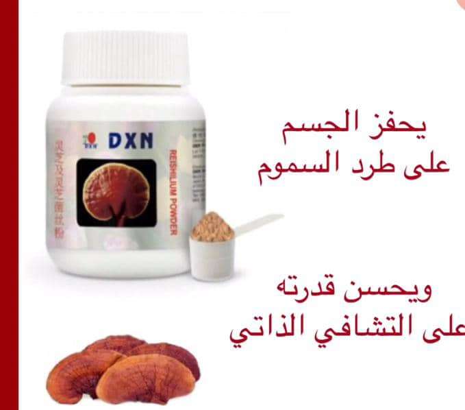 الفطر الريشي
