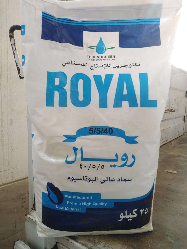 رويال