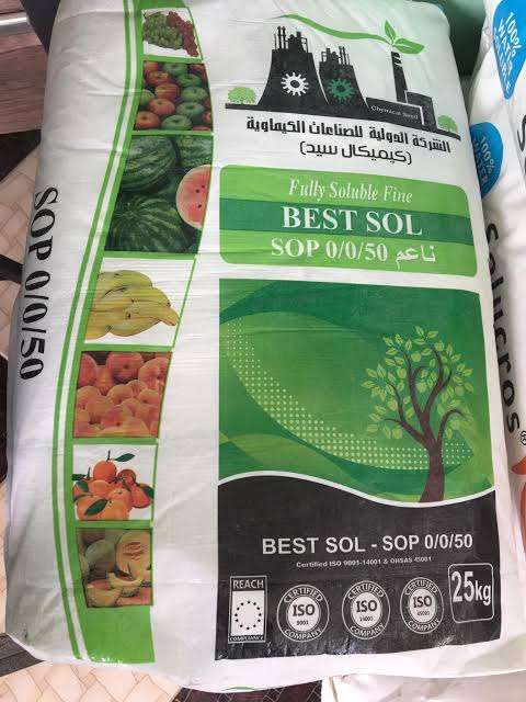 بيست سول