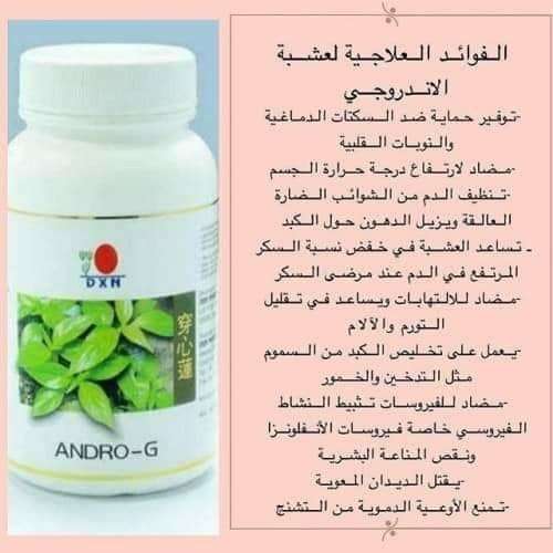 الاندروجى
