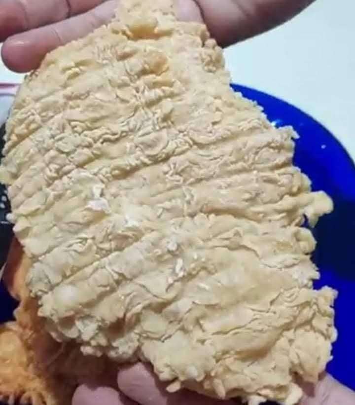 اسكالوب بانية ولعتين