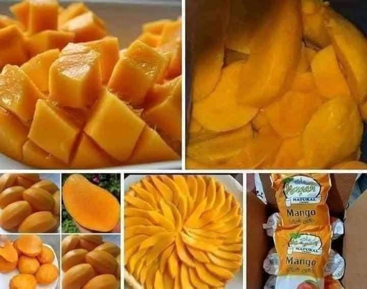 مانجو قطع
