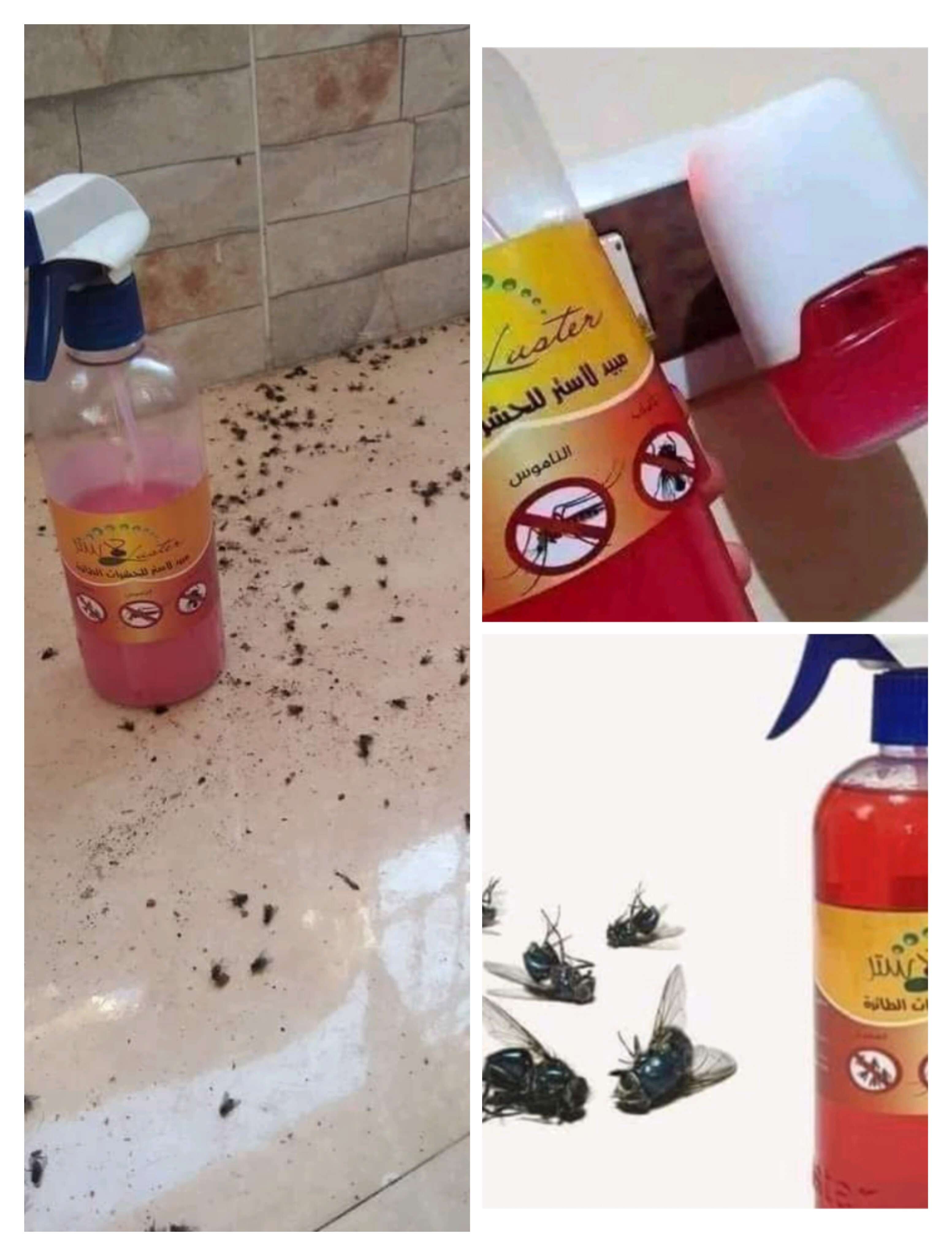 مبيد الذباب والهاموش