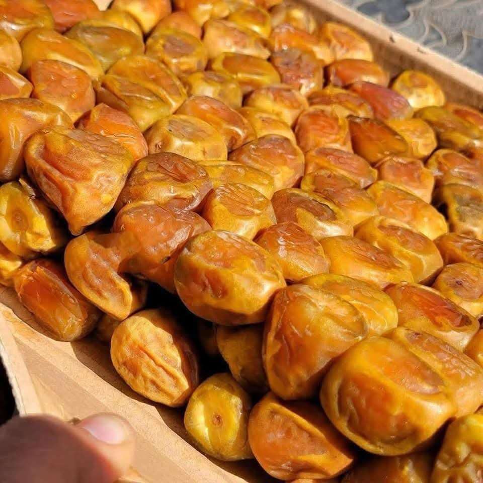 تمر القصيم السعودي