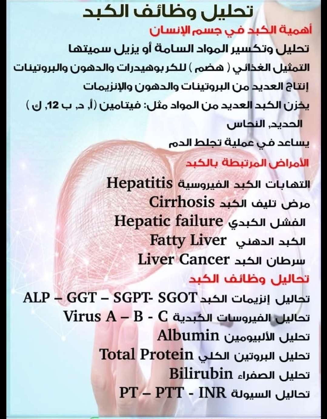 تحليل وظائف الكبد