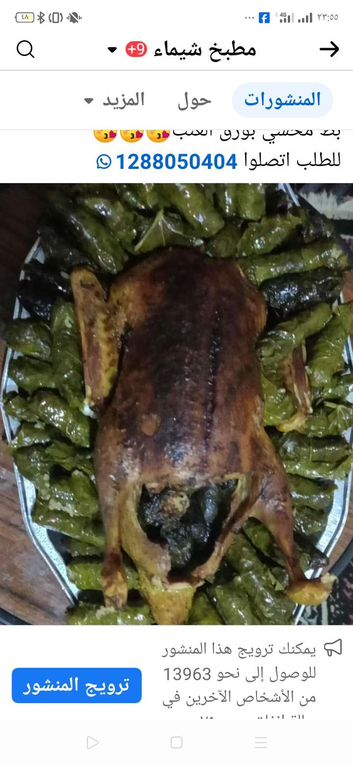 بط بلدى حسب الوزن
