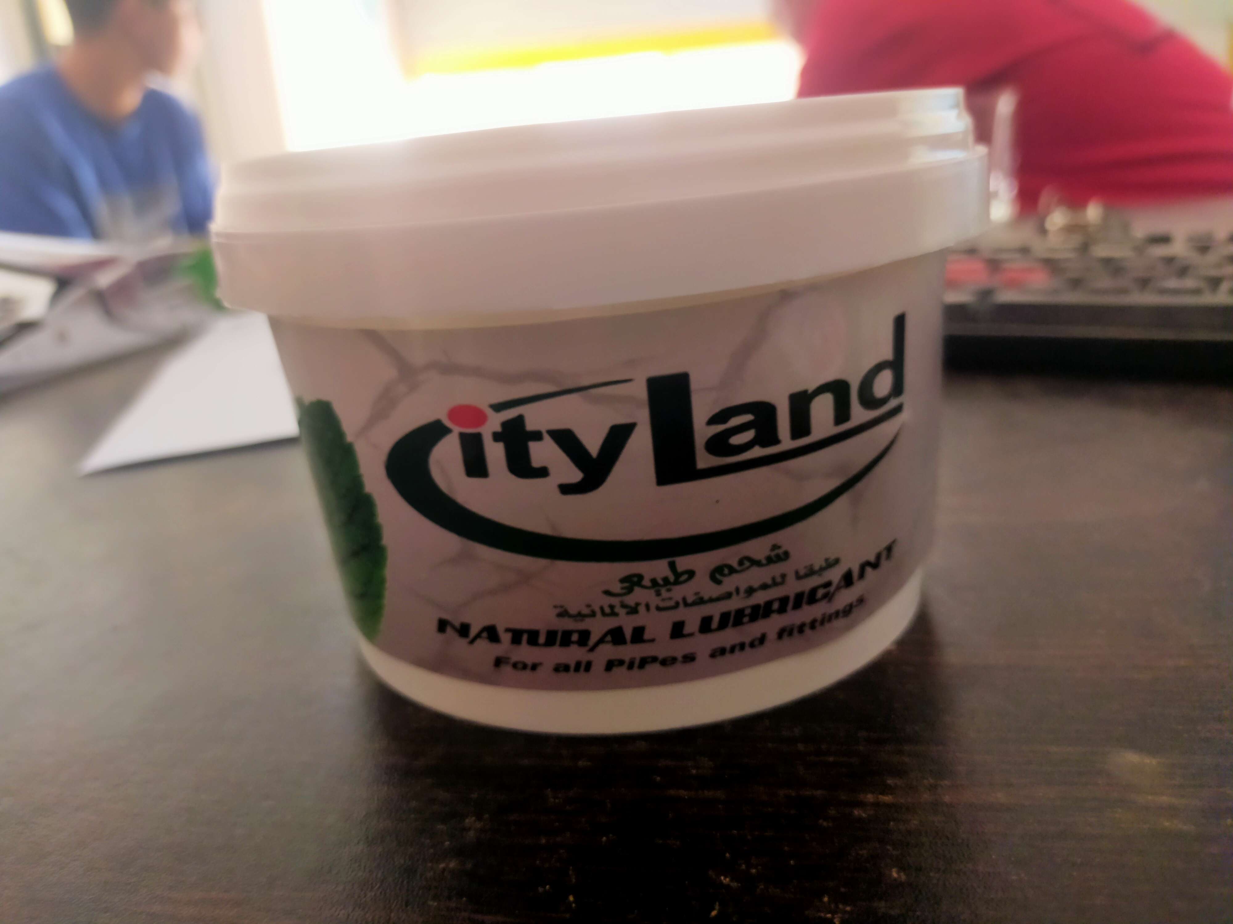 سيتي لاند