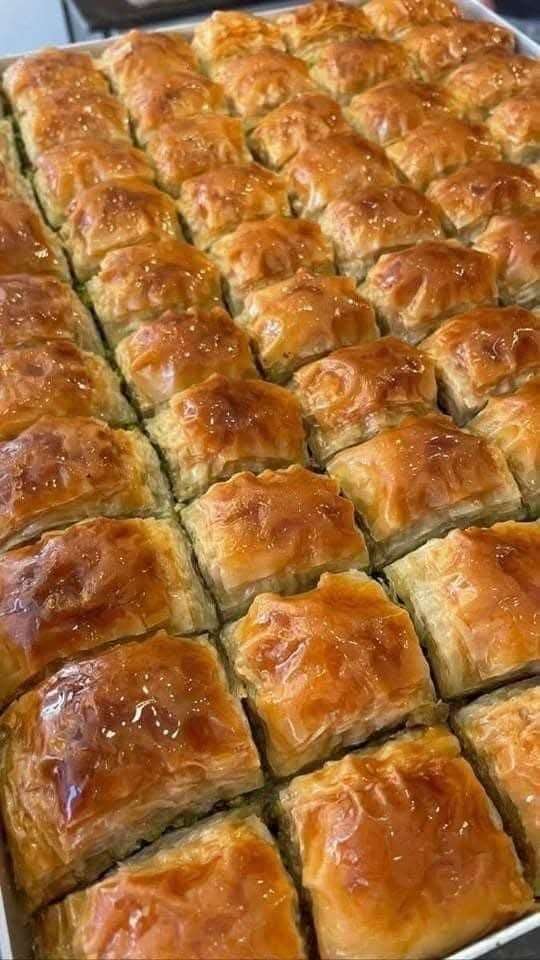 جلاش الحريف الطازة الفريش  جلو و جادق