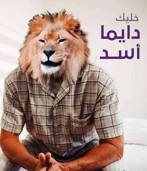 ٨ اقراص فياجرا مستورده جولدن بينز مع قرصين تأخير القذف هديه