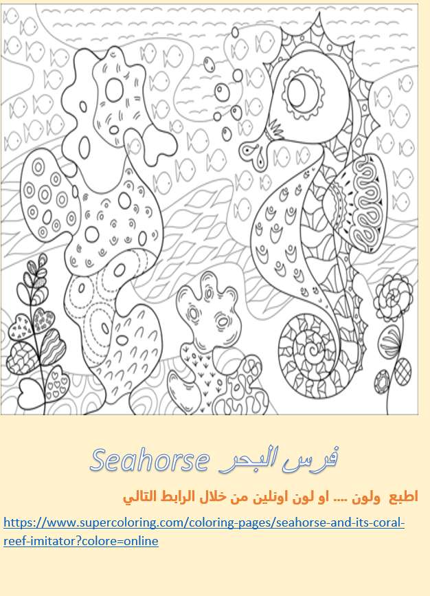 كتاب تلوين عصري للأطفال ( اسماك وعالم البحار)