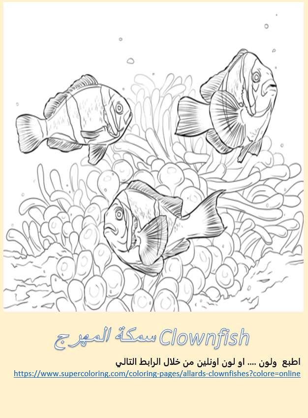 كتاب تلوين عصري للأطفال ( اسماك وعالم البحار)