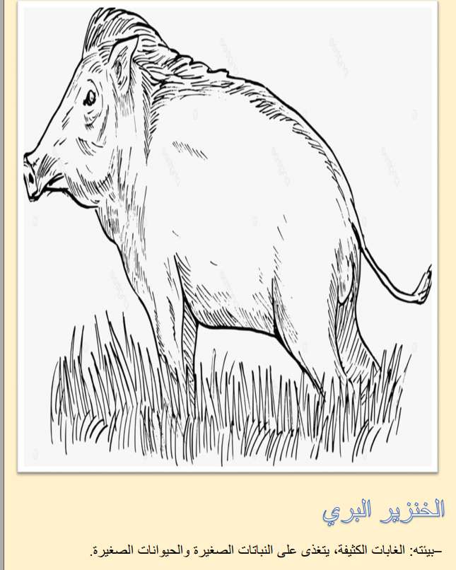 رحلة في عالم الحيوانات القارتة