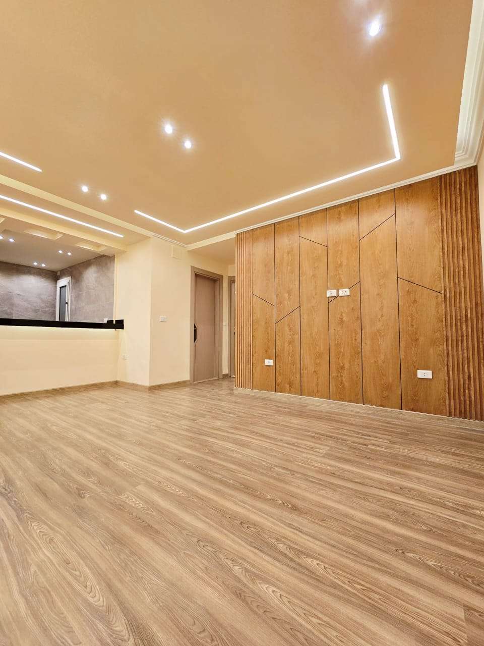 تشطيب الشقة تشطيبات داخلية 01115759997