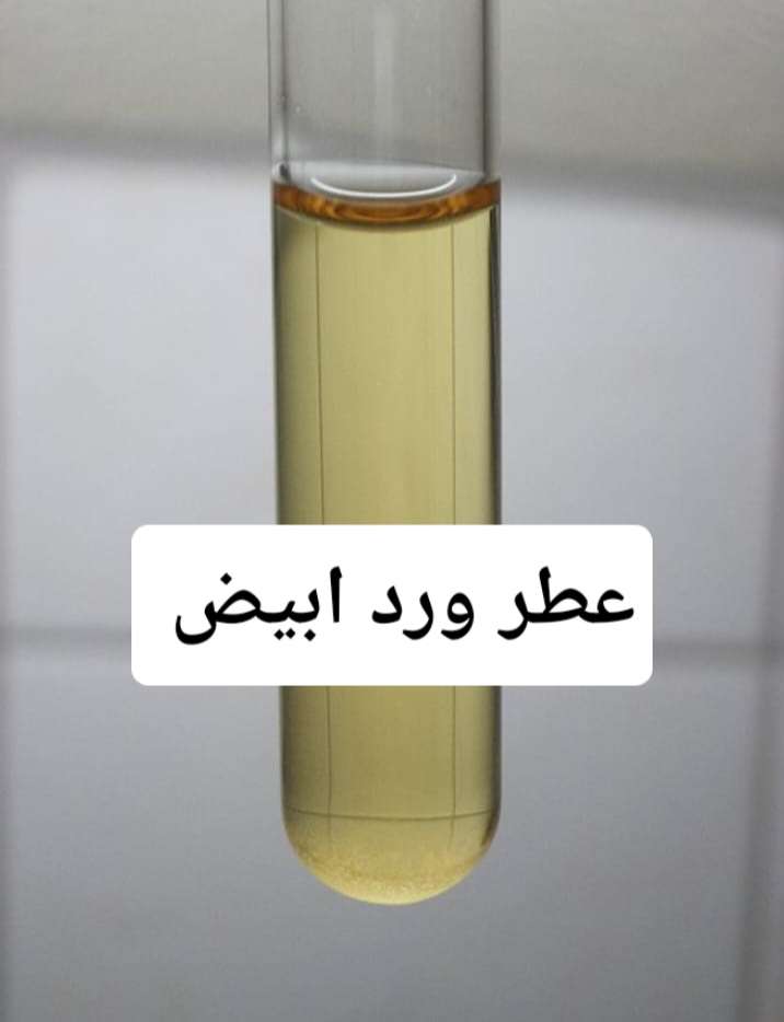 عطر زيتي ورد ابيض 1كجم