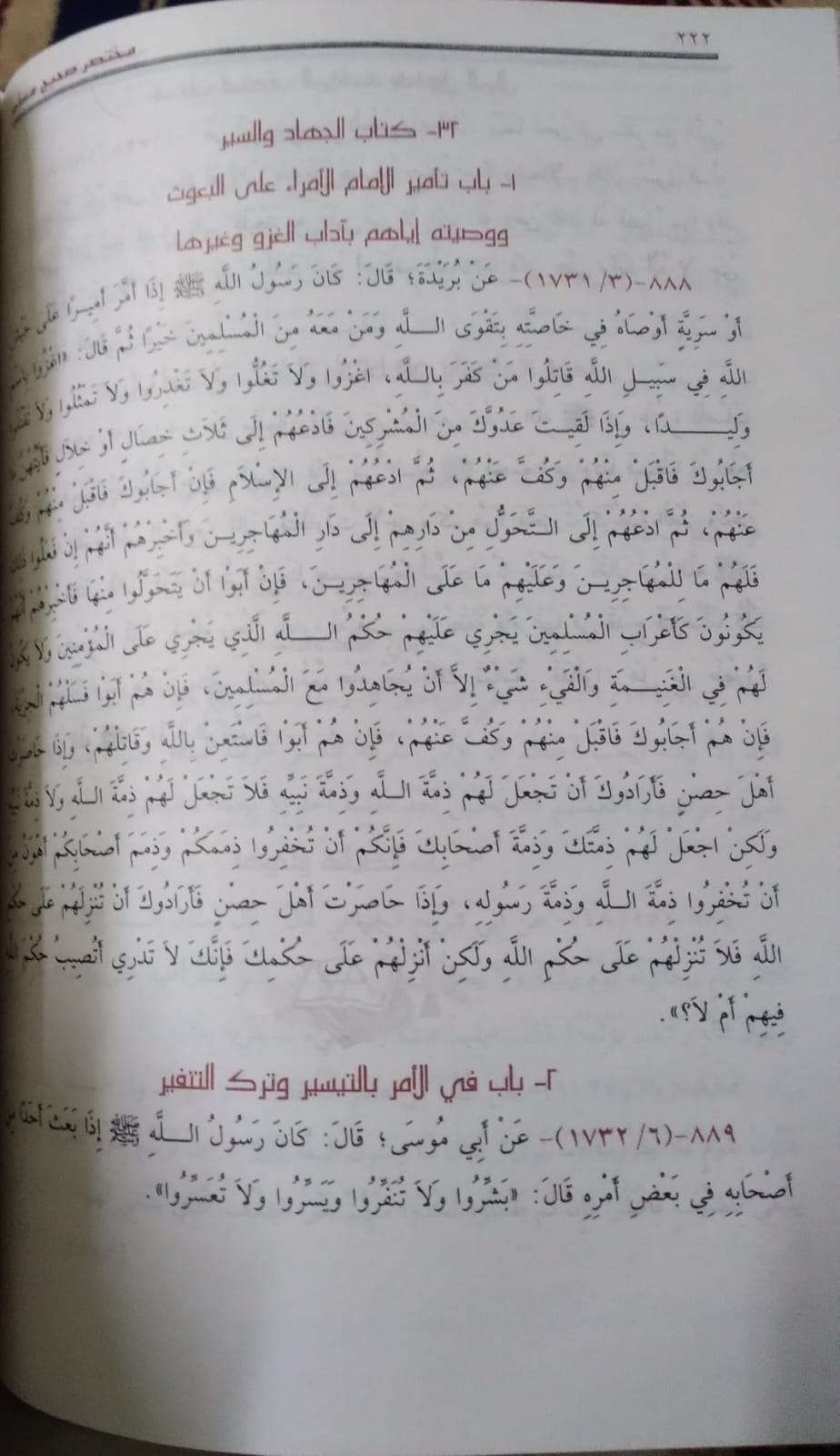 مختصر صحيح مسلم