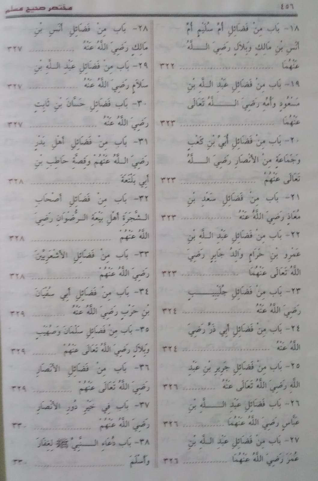 مختصر صحيح مسلم