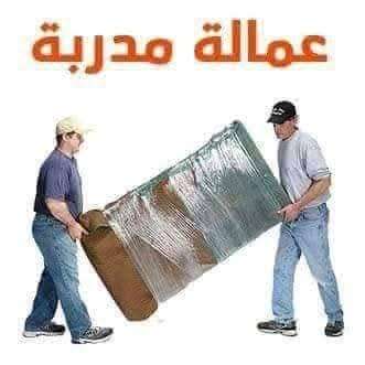 شركة الأحمدي اكسبريس لنقل وتغليف الاثاث بقليوب