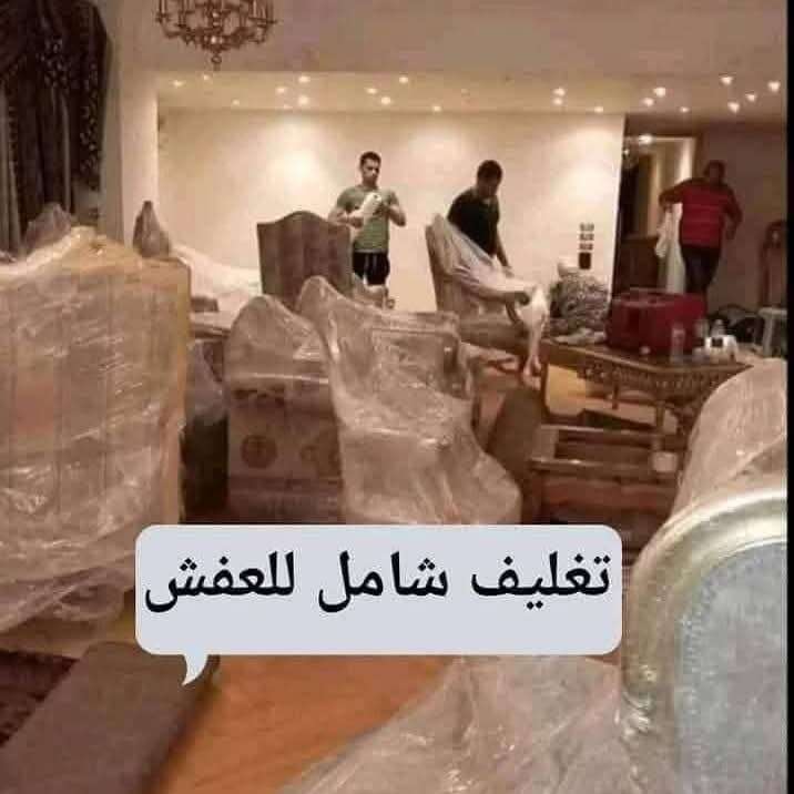 شركة نقل وتغليف الاثاث بالقليوبية