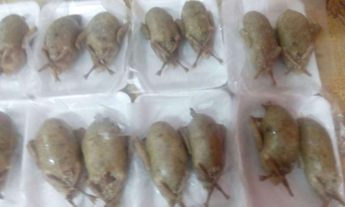 حمام محشى