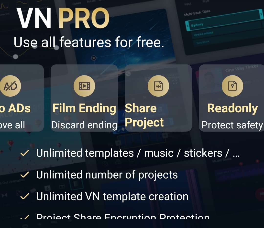 VN PRO
