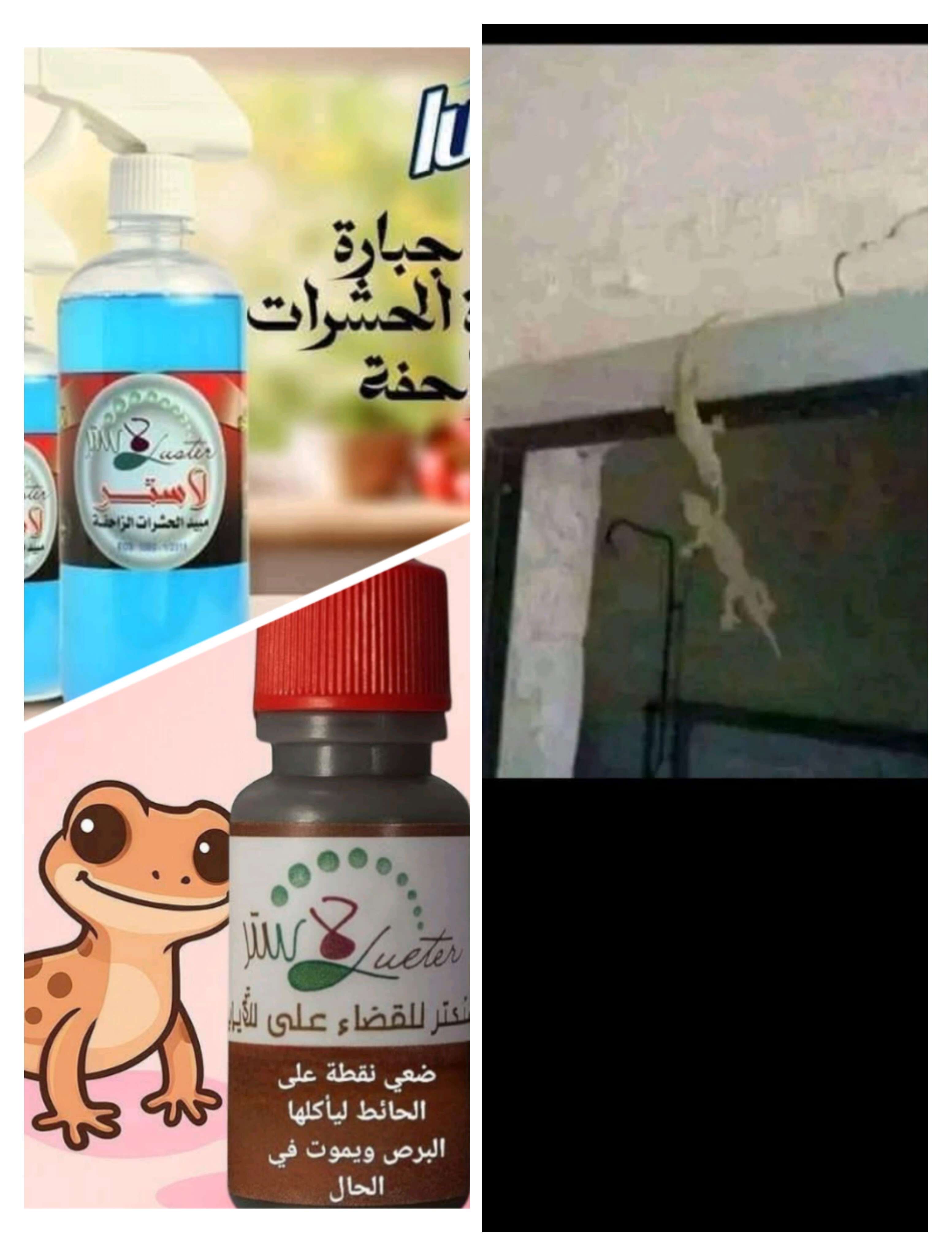 جل الابراص+رش الابراص