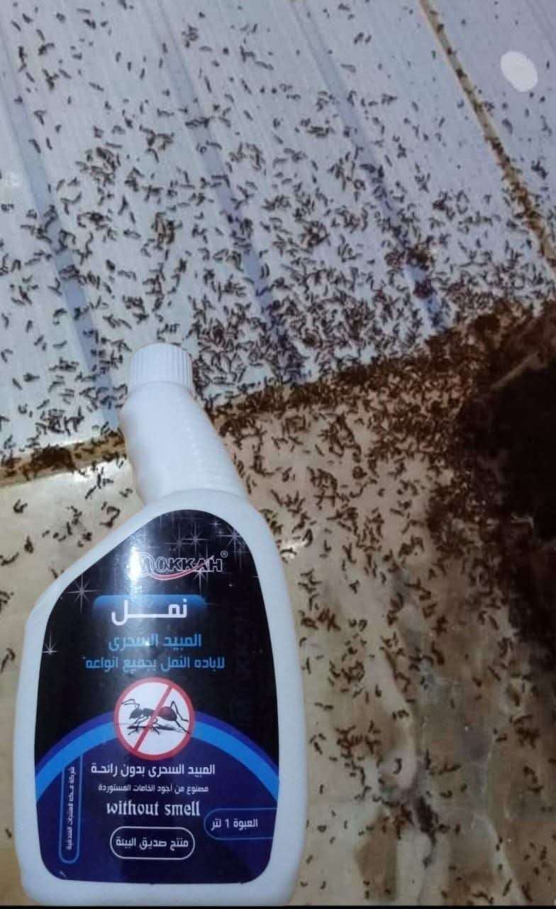 مبيد النمل | سيزما