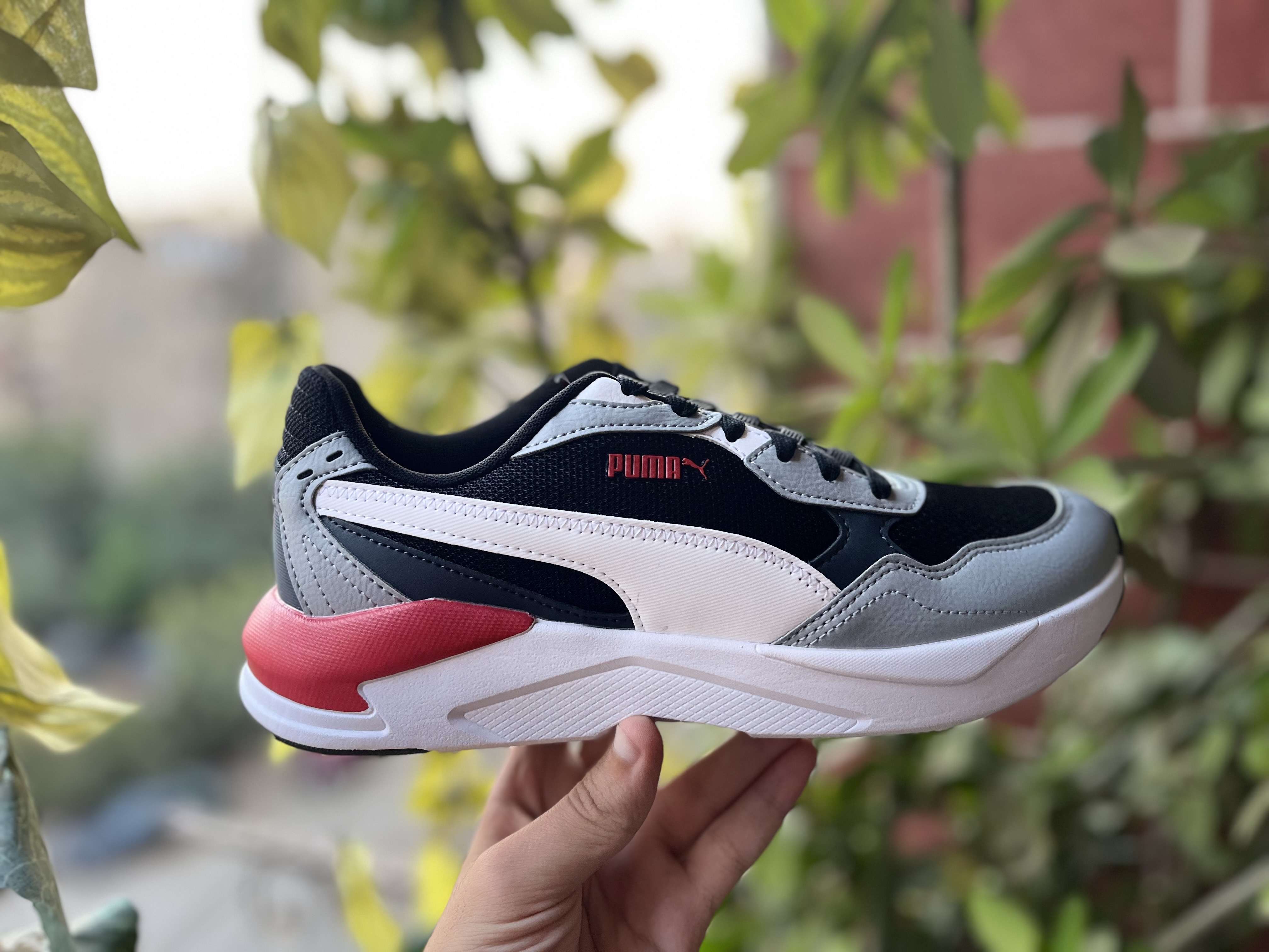 shoes puma original