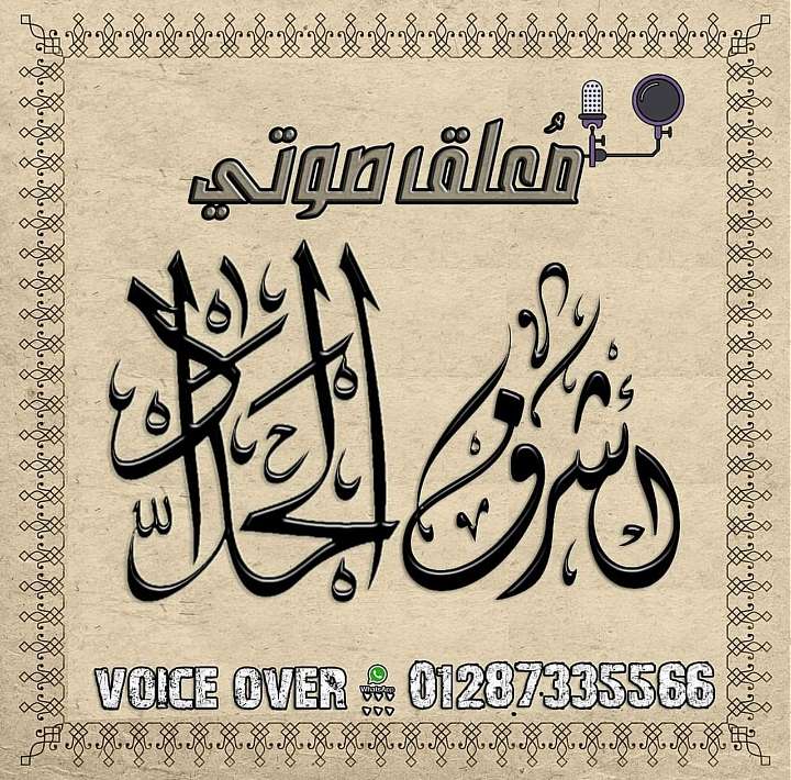 تعليق صوتي