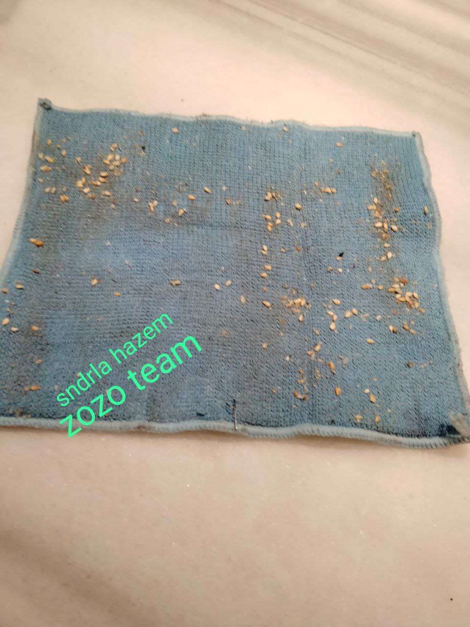 دوتي اسبونج ايدك اليمين فى المطبخ تنضيف المايكروييف والثلاجة والرخامه
