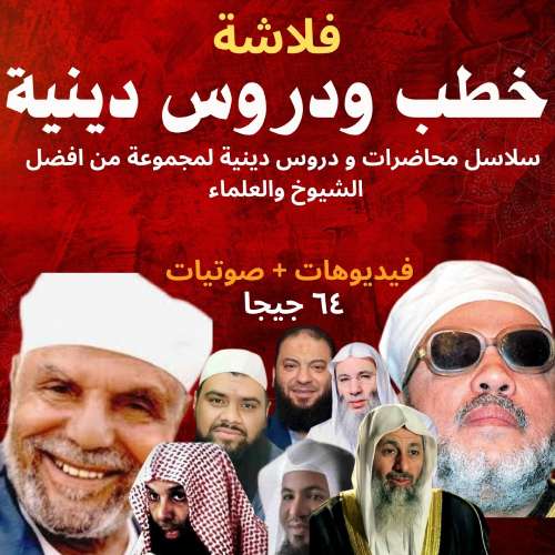 فلاشة النجاة