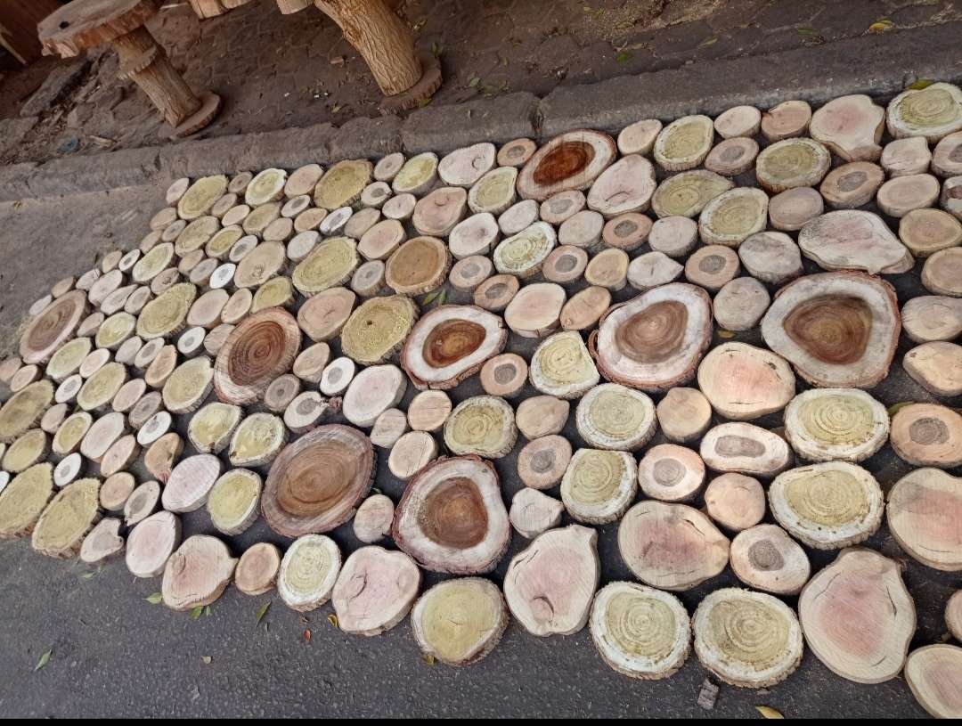 جزوع خشبية دائرية