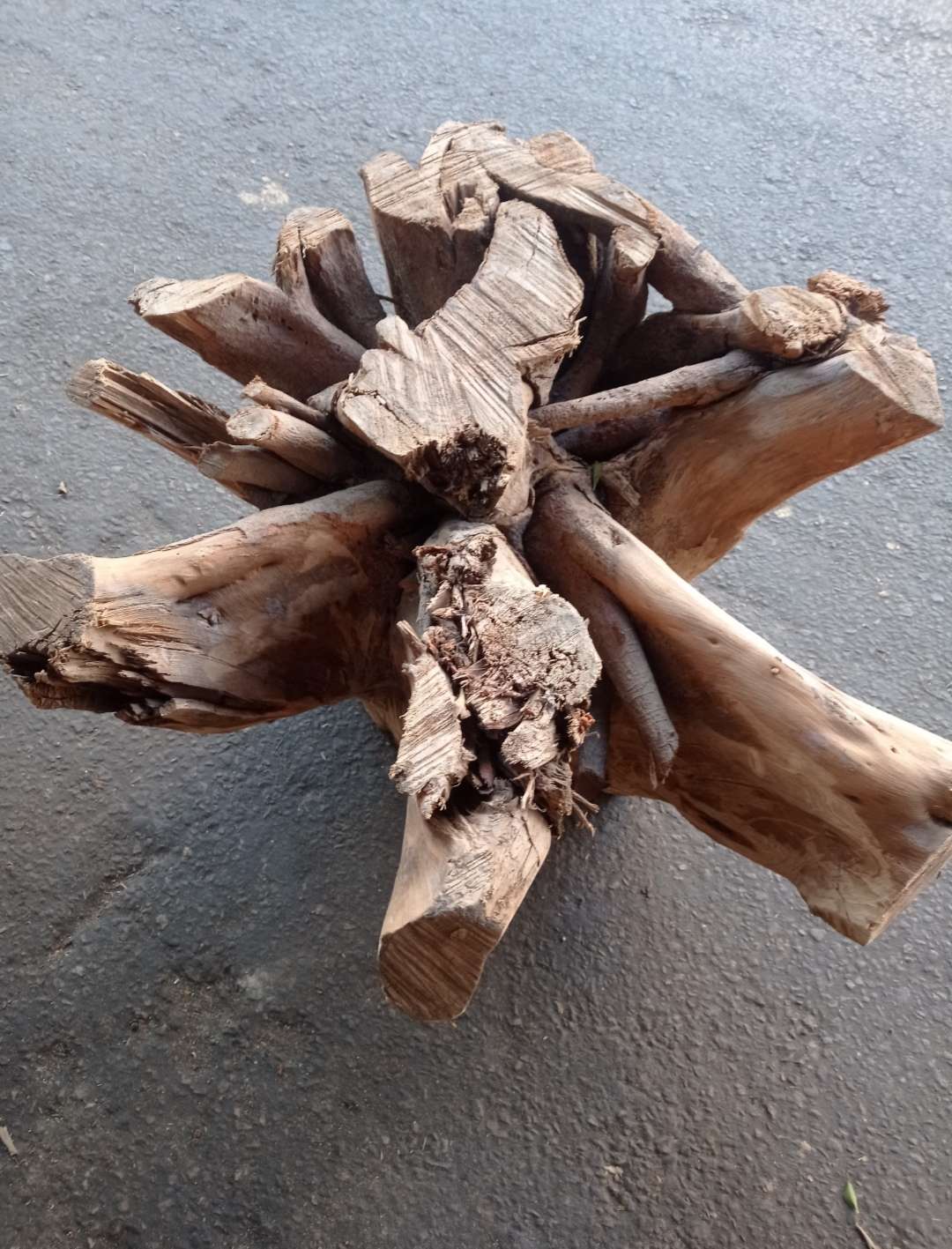 جزوع خشبية دائرية