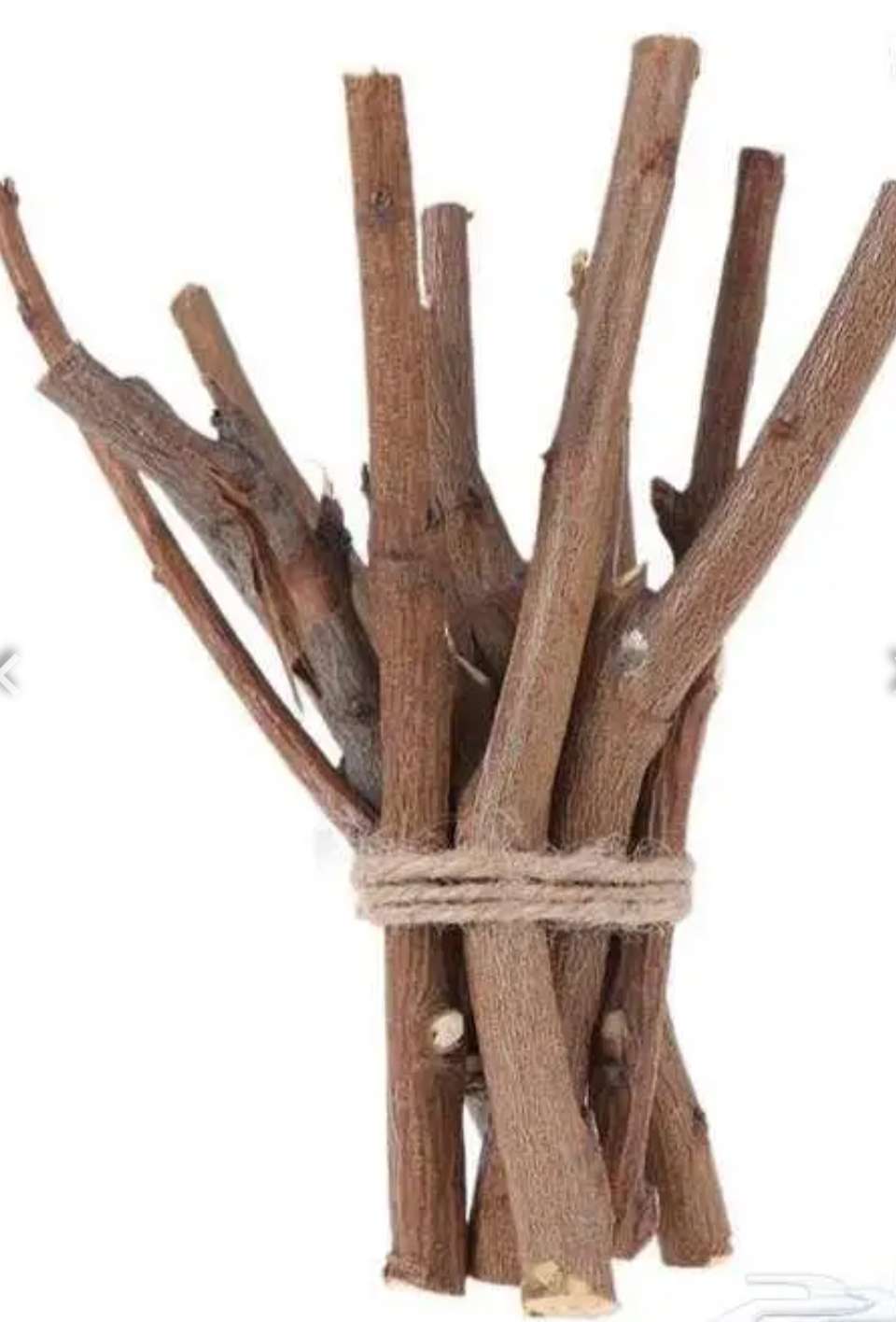 فروع وأغصان شجر للديكور